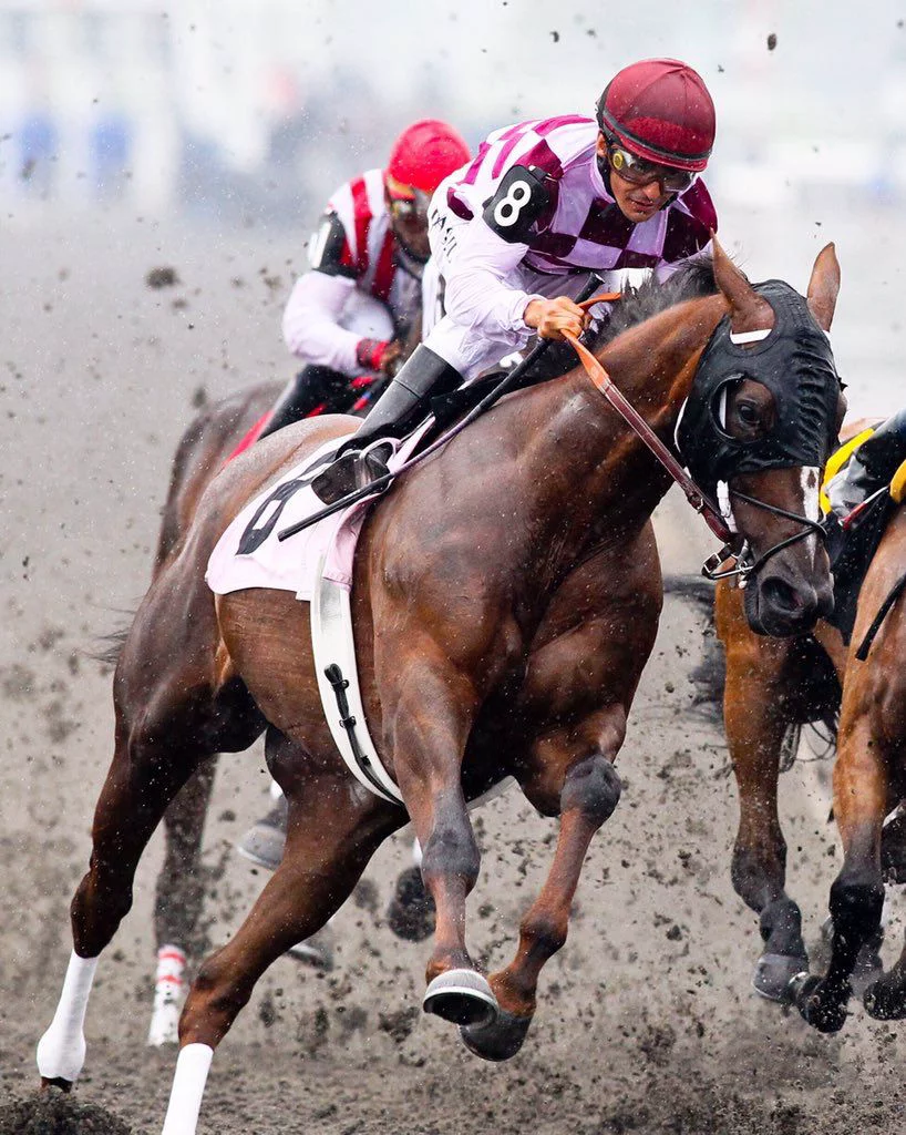 Global equestrian event calendar